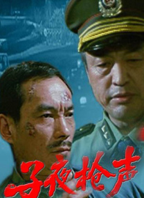 国产精品免费视频播放器